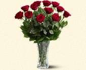 A Dozen Premium Red Roses, picture