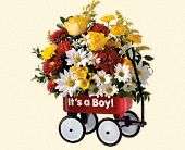 Teleflora's Baby's First Wagon - Boy, picture