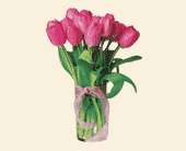 Pink Tulips, picture