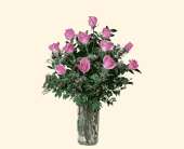 A Dozen Pink Roses, picture