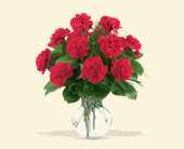 12 Red Carnations, picture
