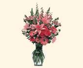 Marvelous Pinks, picture