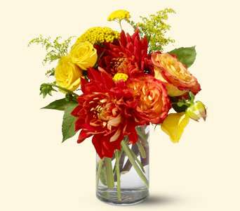 Dazzling Dahlias, picture