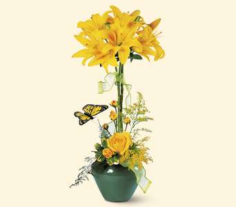Lily Topiary, picture
