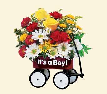 Teleflora's Baby's First Wagon, picture