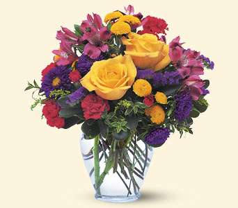 Brighten Your Day, picture
