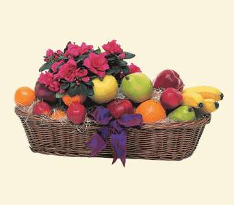 Plant and Fruit Basket, picture