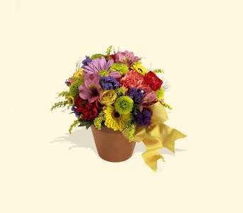 Teleflora's Fresh Blossom Potpourri, picture