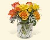 Butterscotch Roses, picture