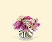 Roses on the Rocks, picture