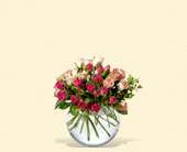 Crimson and Coral Roses, picture