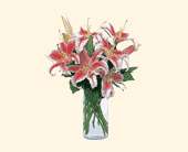 Lovely Lilies, picture