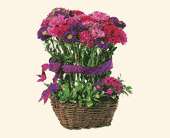 Basket of Smiles, picture