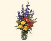 Colorful Sensation, picture
