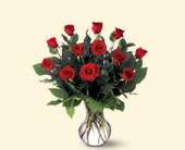 A Dozen Premium Red Roses, picture