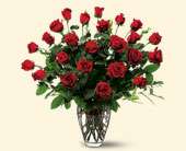 Two Dozen Red Roses, picture