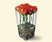 Orange Roses with River Rocks, picture