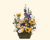 Basket & Bear Arrangement, picture