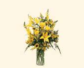 Burst of Yellow, picture