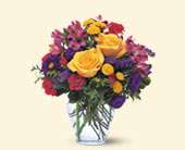Brighten Your Day, picture