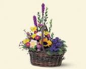 Basket of Glory, picture