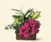 Azalea Attraction Garden Basket, picture