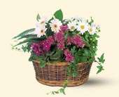 Traditional European Garden Basket, picture