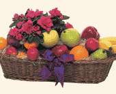 Plant and Fruit Basket, picture