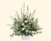 White Expressions Basket, picture