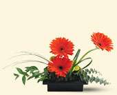 Teleflora's Zen Gerbera Bowl, picture