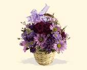 Teleflora's Lavender Garden, picture