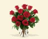 12 Red Roses, picture