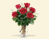 6 Red Roses, picture